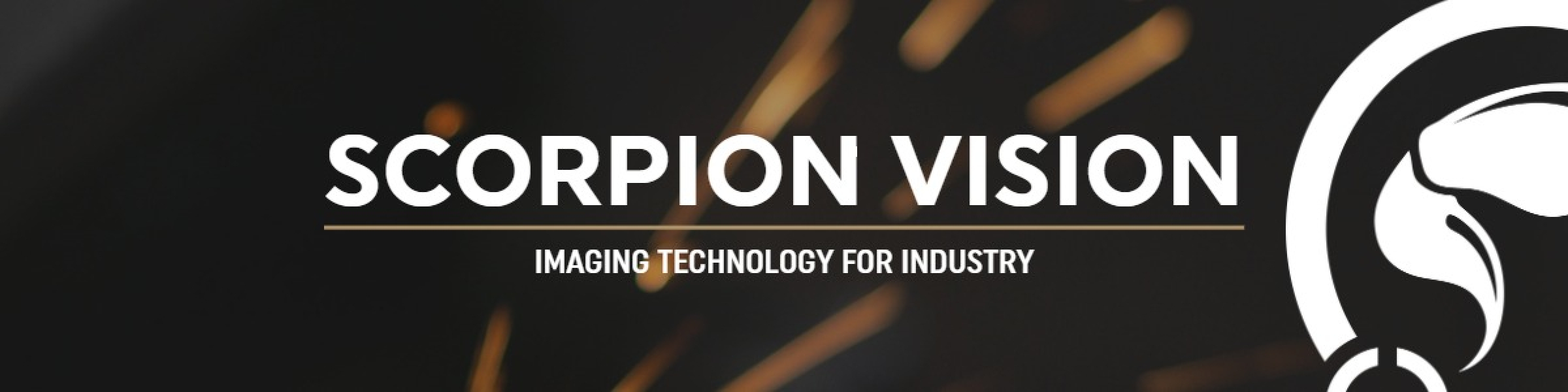 Scorpion Vision Company banner. A graphic of a scorpion tail stinger