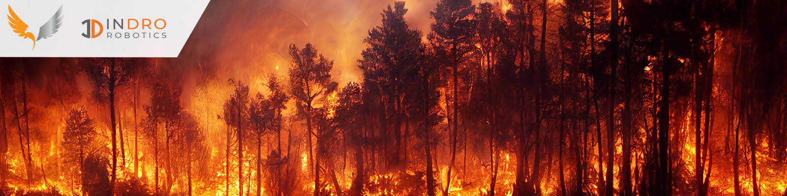 Suppliers Join Forces to Assist With Kelowna Wildfires