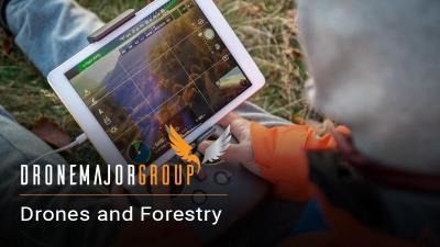 Drones and Forestry