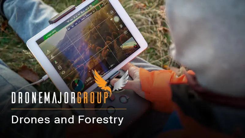 Drones and Forestry