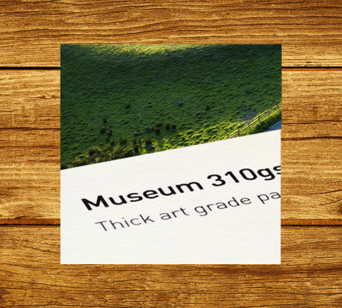Fine Art Prints