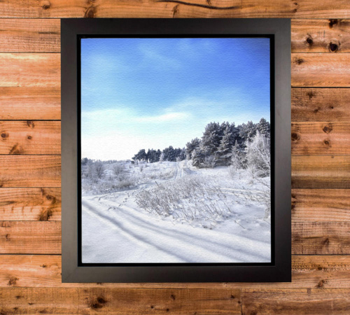 Framed Canvas Wraps