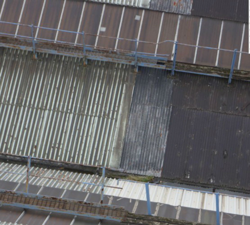 Building & Roof Surveys