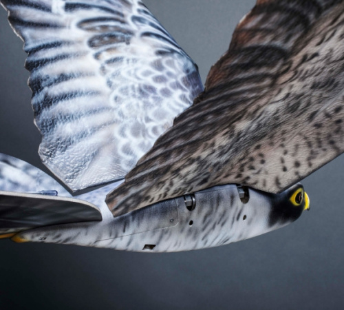 Clear Flight Solutions - Robird