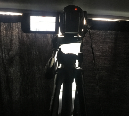 Surveillance and Investigations