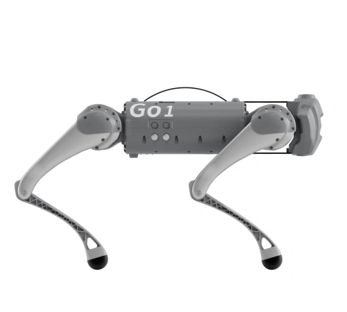 GO1 EDU