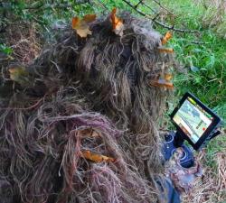 Covert Drone Surveillance