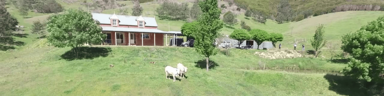 Freedom Drone Consultants