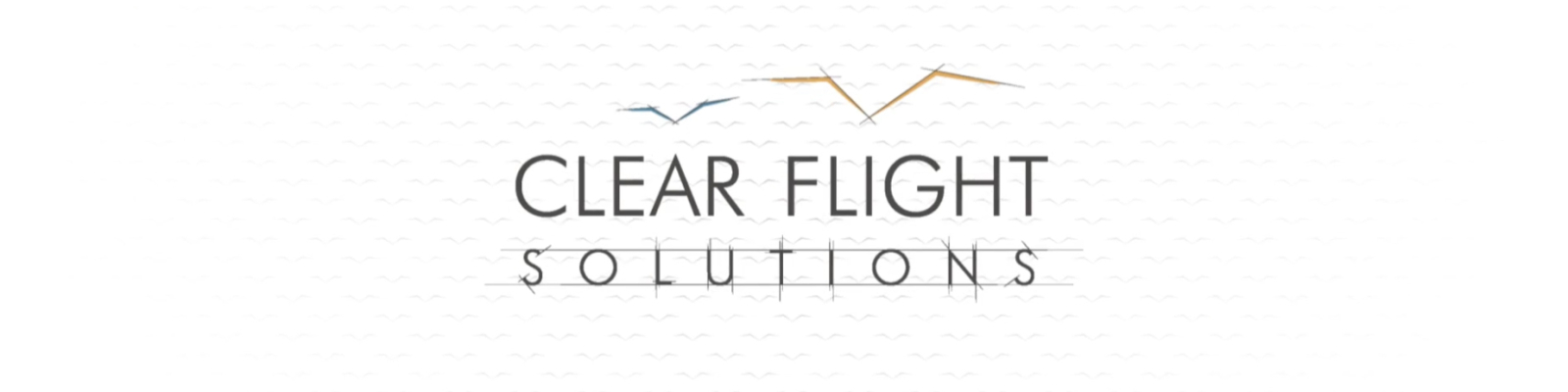 Clear Flight Solutions