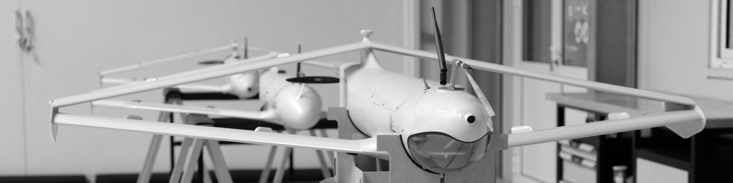 FLY-R UAS