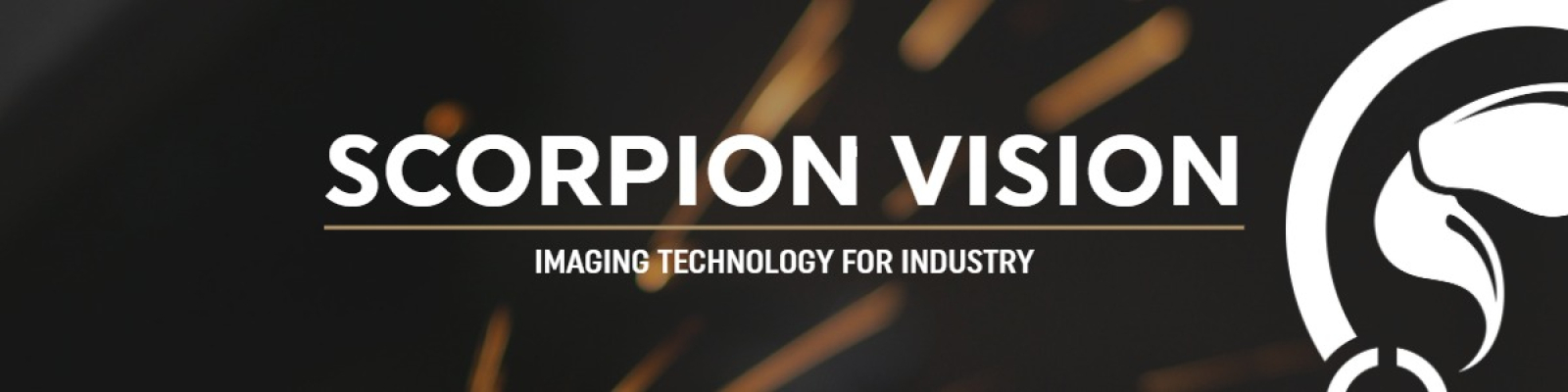 Scorpion Vision